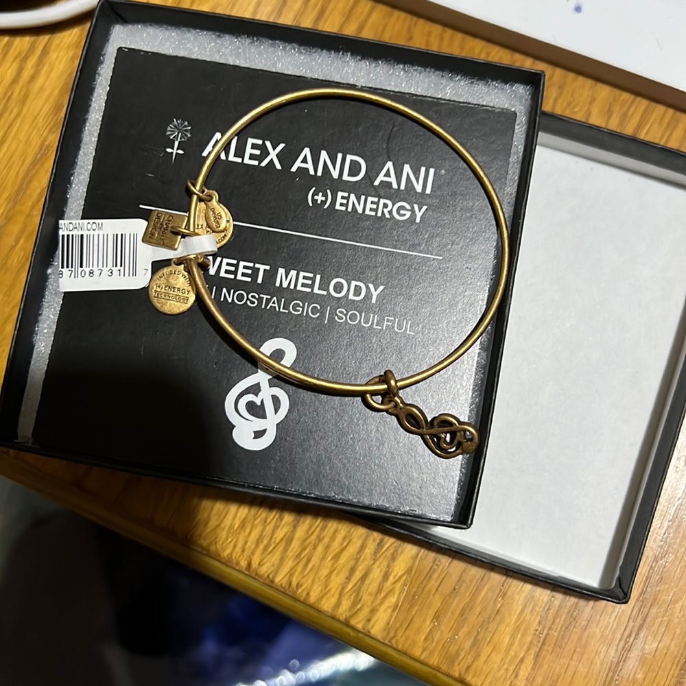 Alex and ani music bracelet